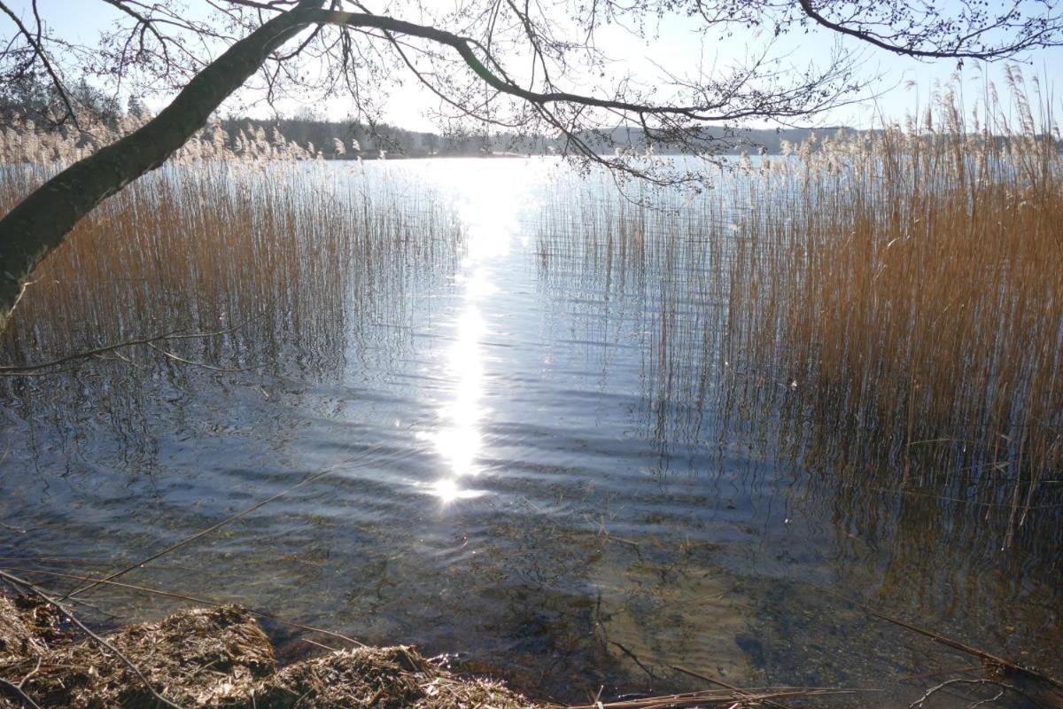 Landhaus Am See App. 2 Ponitz am See Extérieur photo