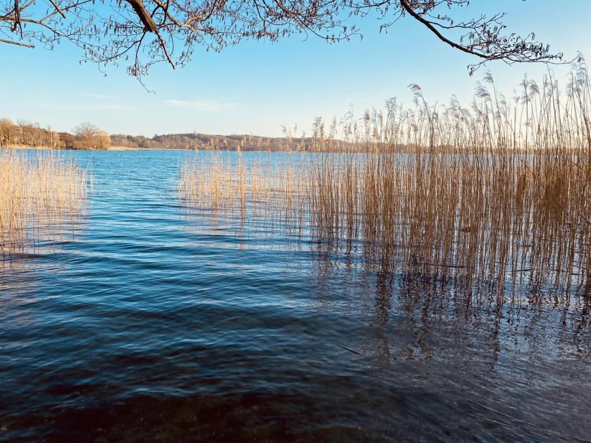 Landhaus Am See App. 2 Ponitz am See Extérieur photo